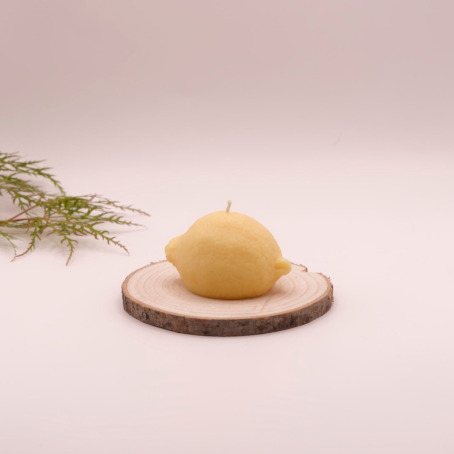 Citrus Citron meringué - L'Atelier de Silaya