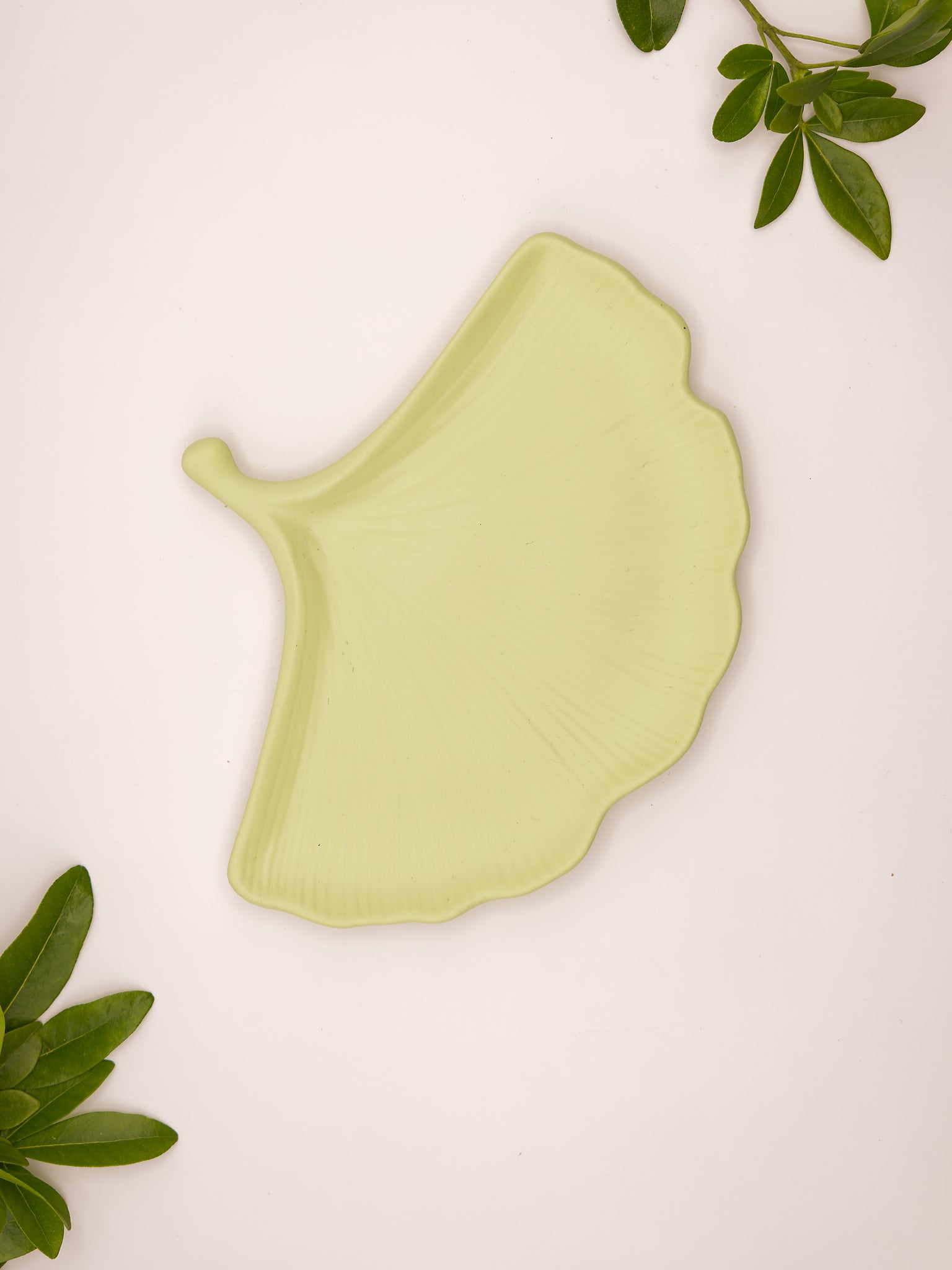 Plateau en jesmonite Biloba - L'Atelier de Silaya